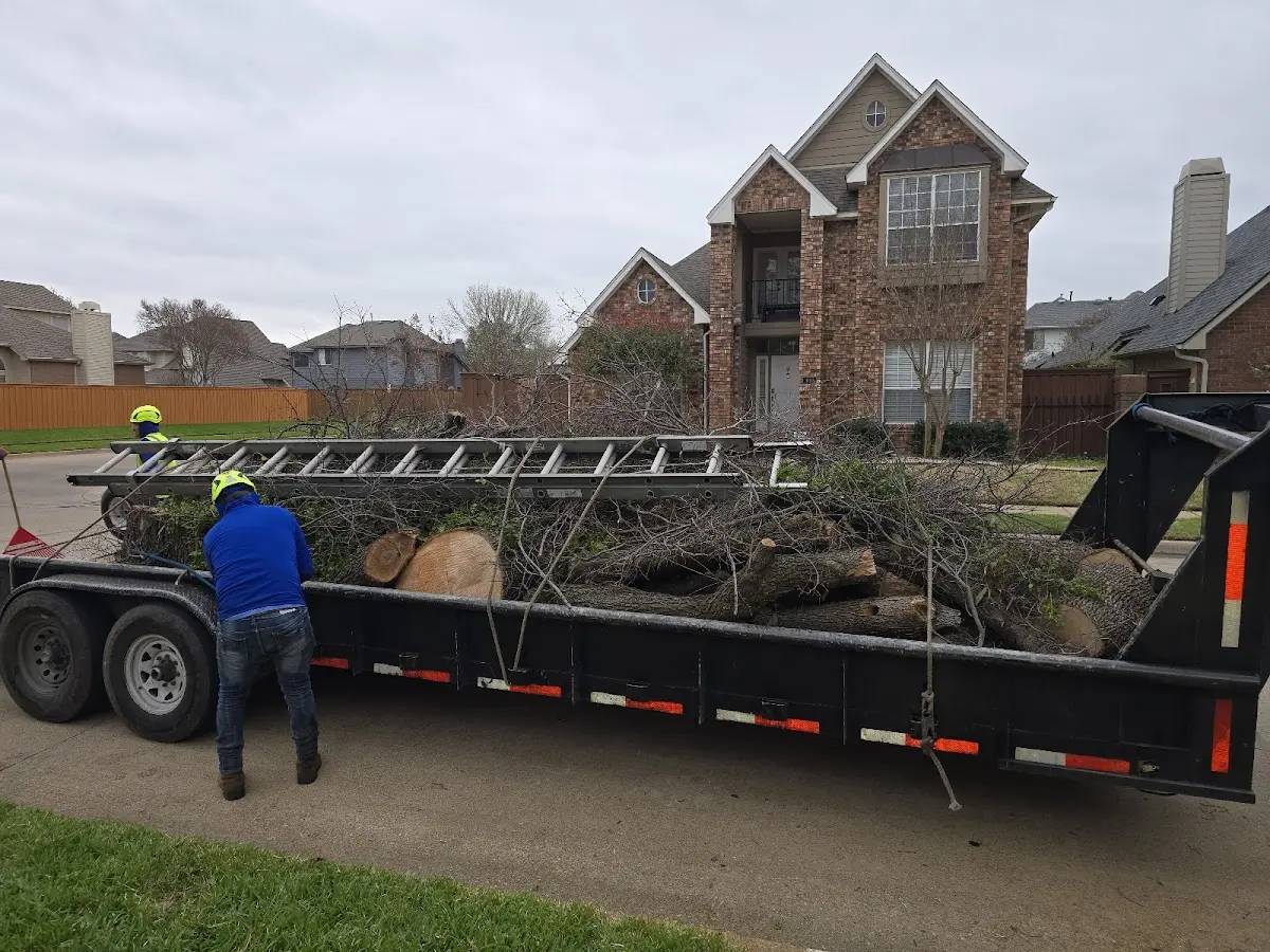 Expert Crown Reduction with proper safety equipment in Morganville